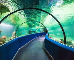 Günübirlik Eskişehir Turu