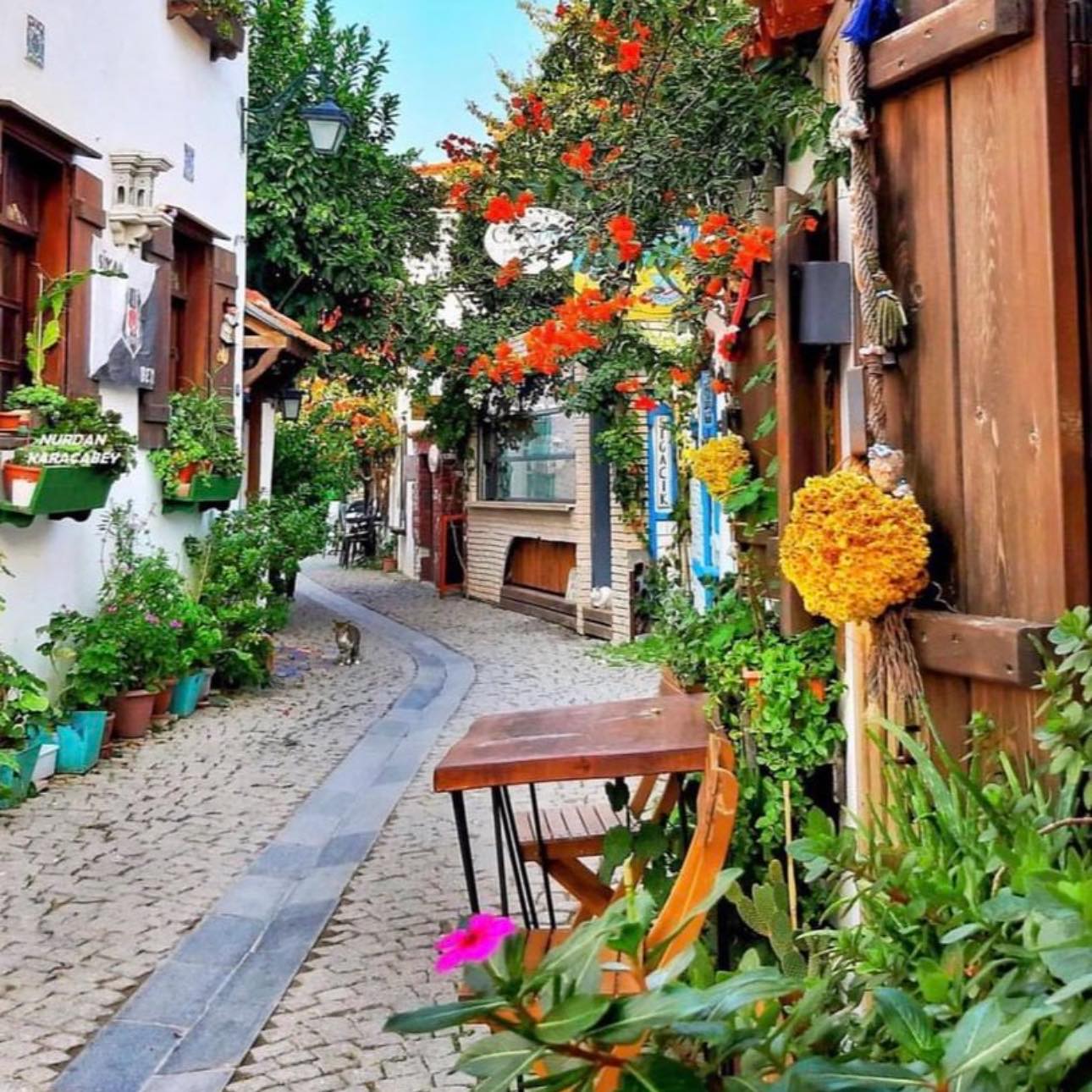 Ayvalık- Cunda-Bergama-Eski Foça- Urla -Sığacık